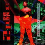 2Pac - Strictly 4 My N.I.G.G.A.Z. Edice 2018 LP – Hledejceny.cz