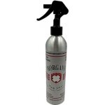 Morgan's Hair Spray Strong Hold & Natural Look stylingový sprej na vlasy 300 ml – Hledejceny.cz