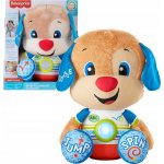 Fisher-Price Učte a smějte Velké štěně HCJ17 – Zboží Mobilmania