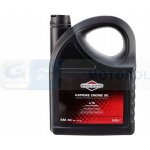 Briggs & Stratton SAE 30 5 l – Sleviste.cz