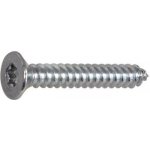DIN7982C 2.9x 19 Torx10 pozink zápustná hlava vrut do plechu ~ISO14586 (2000 ks) – Hledejceny.cz