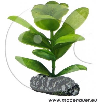 Hobby Saururus 7 cm umělá – Sleviste.cz