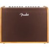 Fender Acoustic 100