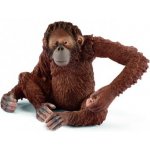 Schleich 14775 Orangutan – Sleviste.cz