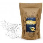 Protein&Co BCAA ENHANCED 250 g – Zboží Dáma