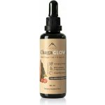 Hrotlife Chagaglow tinktura s vitamínem C, B6 a B12 60 ml – Hledejceny.cz