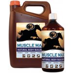 Foran Muscle Max 1 l – Hledejceny.cz