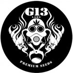 G13 Labs Seeds Blue Venom semena neobsahují THC 5 ks – Zboží Dáma G13 Labs Seeds Blue Venom semena neobsahují THC 5 ks – Zboží Dáma