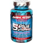 Aminostar Fat Zero Synephrine Plus 90 kapslí – Hledejceny.cz