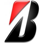 Bridgestone T31 190/55 R17 75W | Zboží Auto