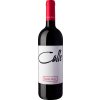 Víno Fasoli Gino Calle Merlot červené 2017 16% 0,75 l (holá láhev)