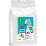 ZELENÁ ZEMĚ Konopné pamlsky pro koně příchuť mrkev 0,5 kg – Hledejceny.cz