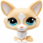 TM Toys Littlest Pet Shop Krabička s překvapením – Zboží Dáma