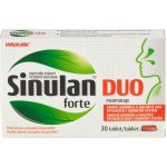 Walmark Sinulan Duo Forte 30 tablet – Hledejceny.cz