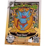 Sweet Seeds Sweet Cheese Fast Version semena neobsahují THC 3 ks – Zbozi.Blesk.cz
