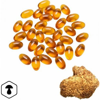 LifeChi Korálovec ježatý (Hericium erinaceus) HeriCore DHA/MCT 1,5% hericenonů + hericenů 100 softgel kapslí – Hledejceny.cz