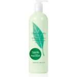 Elizabeth Arden Green Tea tělové mléko 500 ml – Zboží Mobilmania