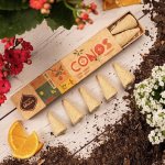 Sagrada Madre Vonné kužely Jantar a Pomeranč 8 ks – Hledejceny.cz