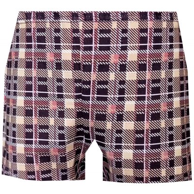 Foltýn dětské trenýrky DT116 – Zboží Dáma