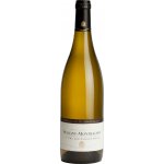 Domaine Alain Chavy Puligny-Montrachet Premier Cru Les Champs-Gains 2024 Bílé 13.0% 0.75 l (holá láhev) – Hledejceny.cz