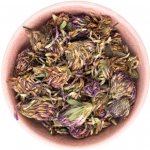 Bylinca Jetel červený květ 200 g – Zboží Dáma