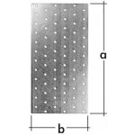DMX PP 18 Destička perforovaná 120x200 zinkovaný plech 1 ks – Zbozi.Blesk.cz