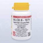 Sinecura WLCB.9-1879 baochan wuyou fang 60 tablet – Hledejceny.cz