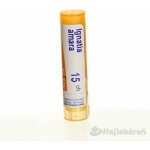 IGNATIA AMARA POR 15CH GRA 1X4G – Hledejceny.cz