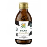 Salvia Paradise Shilajit Mumio 120 kapslí – Hledejceny.cz