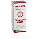 Hyalgel Collagen Maxx 500 ml