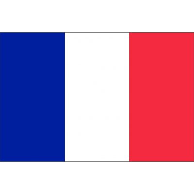 Samolepka - vlajka Francie - 6 x 4 cm – Zboží Dáma