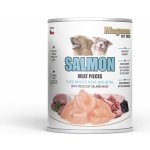 MAGNUM Meat Pieces SALMON dog 800 g – Zboží Mobilmania
