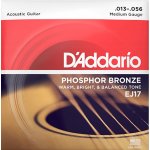D'addario EJ17 – Sleviste.cz