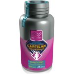 Altervet Cartilan MSM+kurkumin 130 g 100 tbl – Hledejceny.cz
