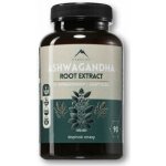 Hrotlife Ashwagandha adaptogen pro udržení vitality 90 kapslí – Hledejceny.cz