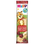 HiPP BIO Oplatka Banán-Višeň-Jogurt 23 g – Zboží Dáma
