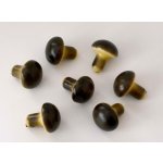 Hříbeček prům. 2,5 x 3 cm - 1 ks – Hledejceny.cz