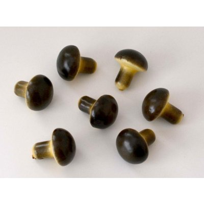 Hříbeček prům. 2,5 x 3 cm - 1 ks – Hledejceny.cz