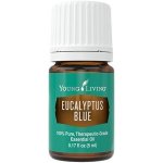 Young Living esenciální olej Eukalyptus modrý 5 ml – Hledejceny.cz