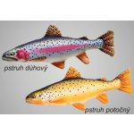 SPORTS polštář PSTRUH dúhový 62 – Sleviste.cz
