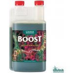 Canna Boost 250 ml – Hledejceny.cz