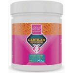 Cartilan MSM+kurkumin 100 tbl – Hledejceny.cz