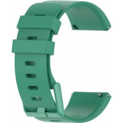 BStrap Silicone Large řemínek na Fitbit Versa / Versa 2, lake green SFI010C11 – Hledejceny.cz