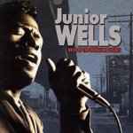 Wells Junior - Best Of Vanguard Years CD – Hledejceny.cz
