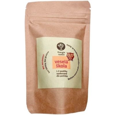 Energie rostlin Bachovy esence Veselá škola pastilky 80 g – Hledejceny.cz
