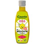 Ramune Yuzu Citrus 200 ml – Zboží Dáma