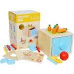 Montessori Tooky Toys box Vkládačka 4v1 – Sleviste.cz