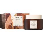 Skin1004 Madagascar Centella Probio-Cica Enrich cream intenzivně pečující krém s probiotiky 50 ml – Hledejceny.cz