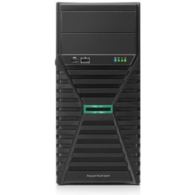 HP Enterprise ProLiant ML30g11 P65095-421