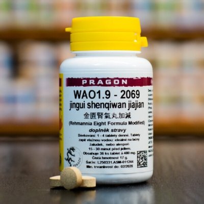 Pragon WAO1.9 - 2069 36 tablet – Hledejceny.cz